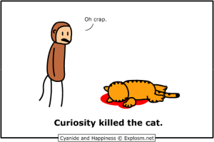 curiosity-killed-the-cat